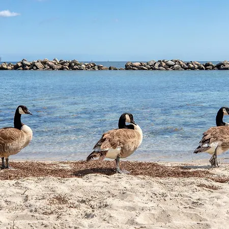 Immerschoen Apartament Schilksee