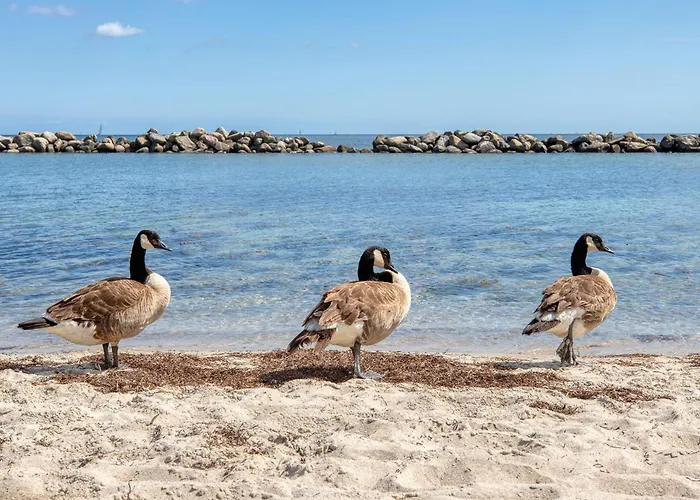 Immerschoen Apartament Schilksee